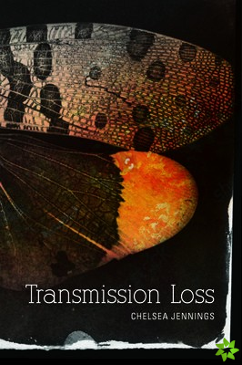 Transmission Loss