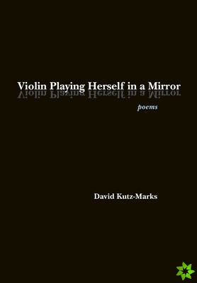 Violin Playing Herself in a Mirror