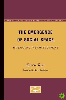 Emergence of Social Space