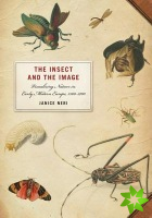 Insect and the Image