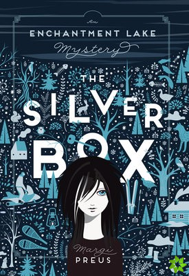 Silver Box