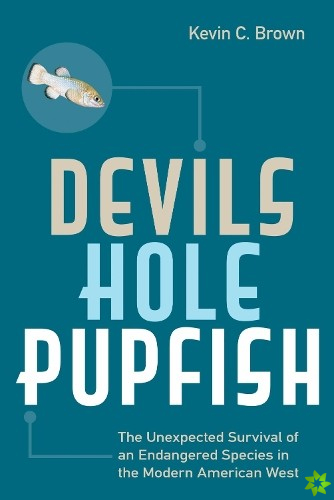 Devils Hole Pupfish