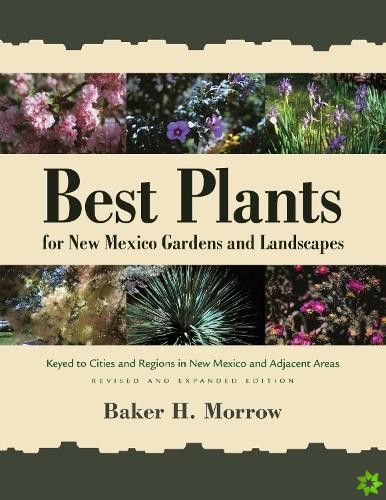 Best Plants for New Mexico Gardens and Landscapes