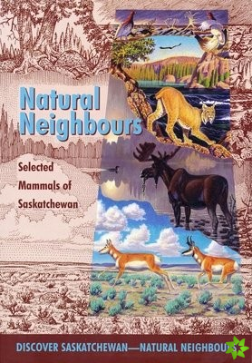 Natural Neighbours