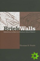 Brick Walls and Other Barriers