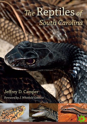 Reptiles of South Carolina