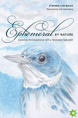 Ephemeral by Nature