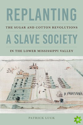 Replanting a Slave Society