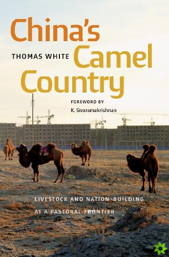 China's Camel Country