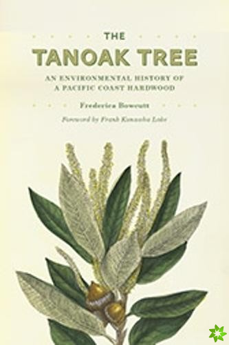 Tanoak Tree