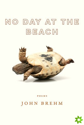 No Day at the Beach