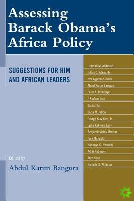 Assessing Barack Obamas Africa Policy