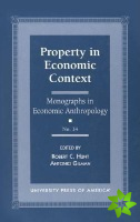 Property in Economic Context
