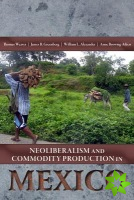 Neoliberalism and Commodity Production in Mexico