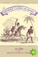 Odyssey Of An African Slave