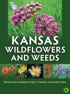Kansas Wildflowers and Weeds