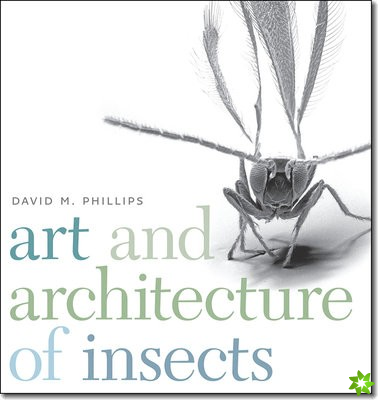 Art and Architecture of Insects