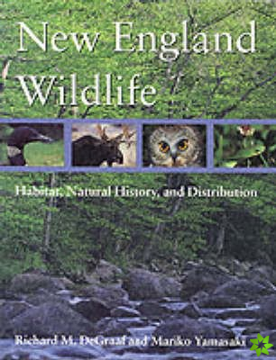 New England Wildlife