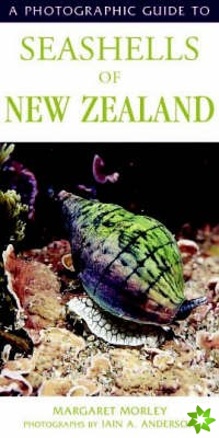 Photographic Guide To Seashells Of New Zealand