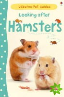 Looking after Hamsters