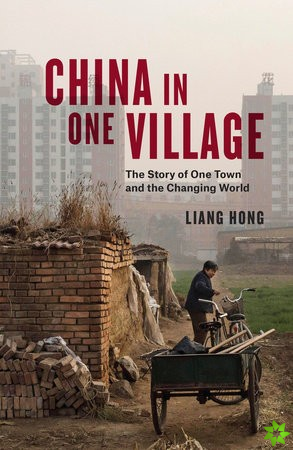 China in One Village