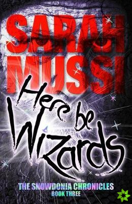 Here be Wizards