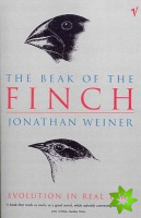 Beak Of The Finch