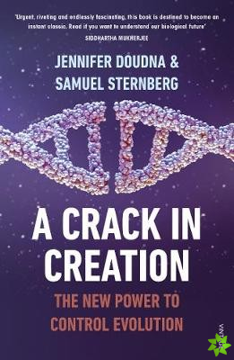 Crack in Creation