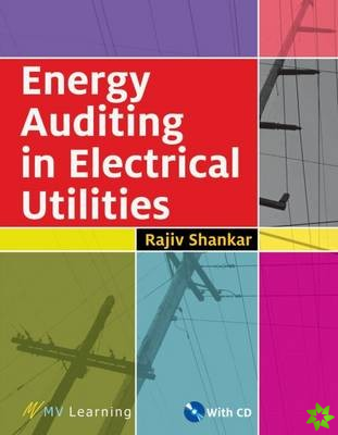 Energy Auditing in Electrical Utilities