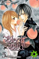 Black Bird, Vol. 5