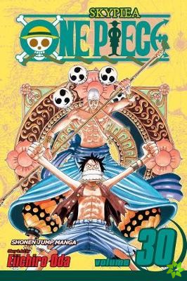 One Piece, Vol. 30