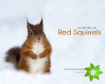 On the Trail of Red Squirrels