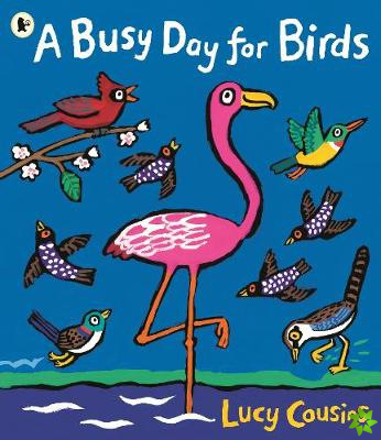 Busy Day for Birds