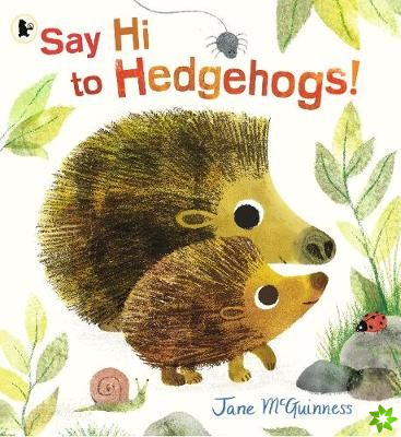 Say Hi to Hedgehogs!