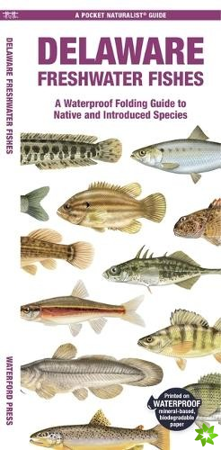 Delaware Freshwater Fishes