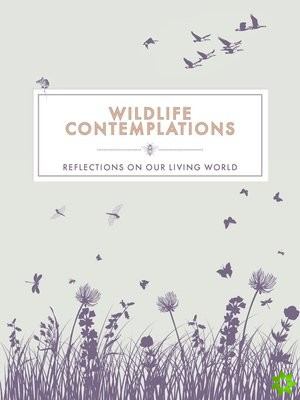 Wildlife Contemplations