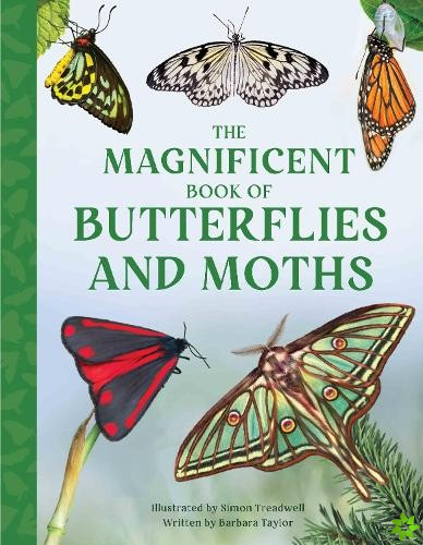 Magnificent Book of Butterflies and Moths