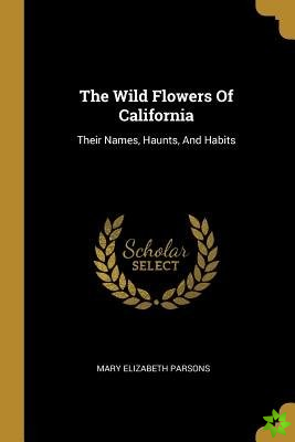 Wild Flowers Of California