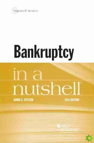 Bankruptcy in a Nutshell