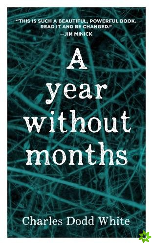 Year without Months