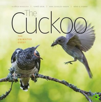 Cuckoo