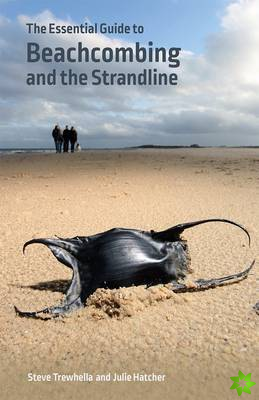 Essential Guide to Beachcombing and the Strandline