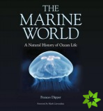 Marine World  A Natural History of Ocean Life