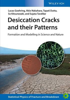 Desiccation Cracks and their Patterns