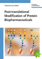 Post-translational Modification of Protein Biopharmaceuticals