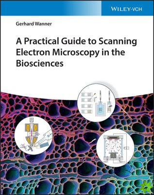 Practical Guide to Scanning Electron Microscopy in the Biosciences