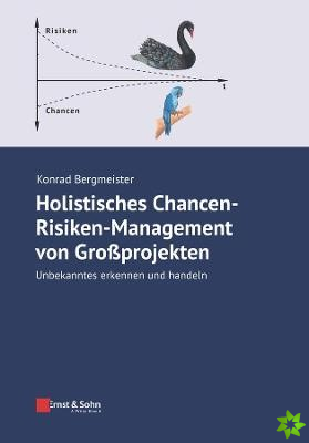 Holistisches Chancen-Risiken-Management von Grossprojekten