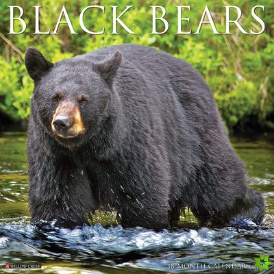 Black Bears 2023 Wall Calendar