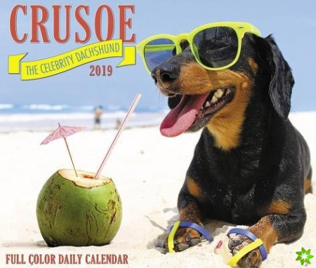 Crusoe the Celebrity Dachshund 2019 Box Calendar (Dog Breed Calendar)