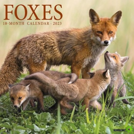 Foxes 2023 Wall Calendar